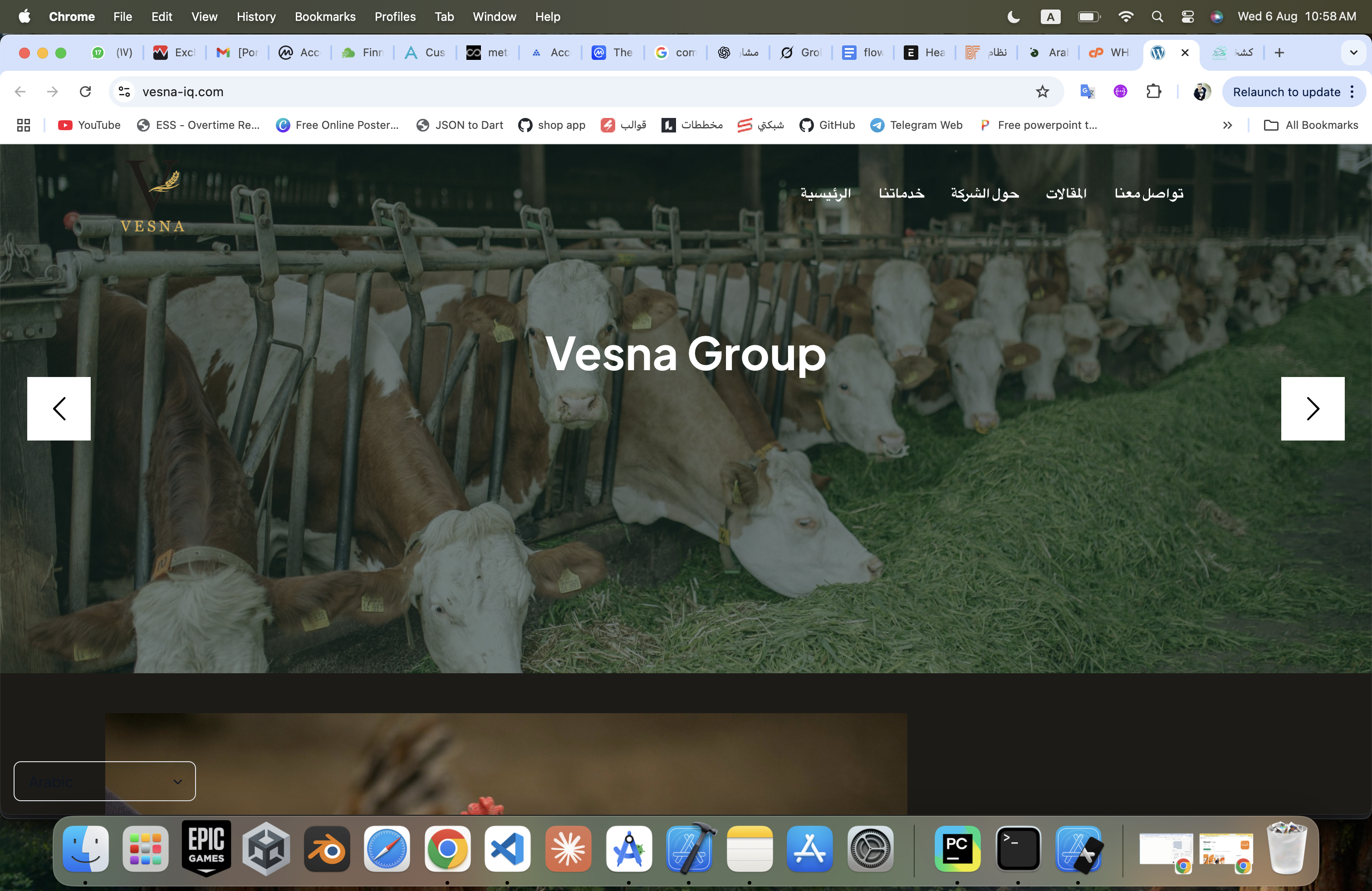 Vesna Web
